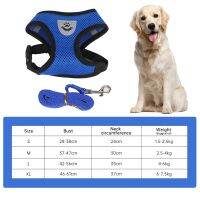 Cute Dog Harness Puppy Fashion Mesh Vest + Leash Lead Set Clothing