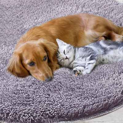 [pets baby] ที่นอนน้องหมาอุปกรณ์เสริม