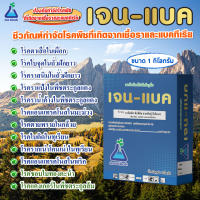 เจน-แบค ขนาด 1 กก. บาซิลลัส ซับทิลิส สายพันธุ์ บีเอ็ม-01 (เจนแบค) Bacillus subtilis 1 x109 strain BM-01