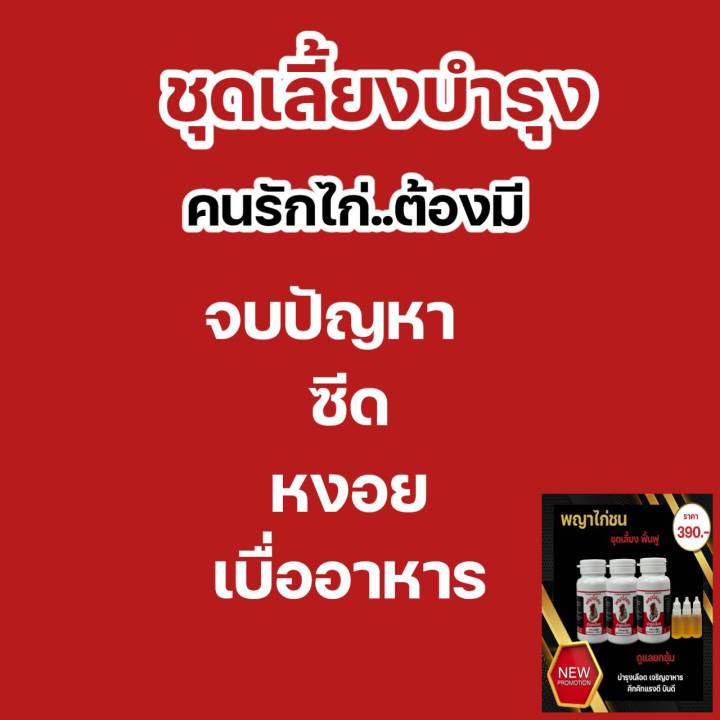 บำรุงไก่-3-กระปุก-390-บาท-ซีด-หงอย-เบื่ออาหาร-ต้องลอง