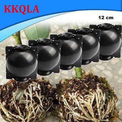 QKKQLA 5pcs 12cm Plant Rooting Ball Grafting Rooting Growing Box Breeding Case Container Nursery Box For Garden Root