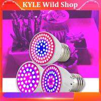 KYLE Wild Shop 220V Plant Grow Light Lamps Indoor Greenhouse Cultivo Flower Red Blue Hydro Growbox Fitolampy 36/54/72 LED