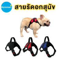 (?มีคูปองส่งฟรี) สายรัดอกสุนัข สายรัดอกหมา สายรัดอกสัตว์เลี้ยง สายรัดอก มีSafety lock (ไซส์ XS-XL) V2