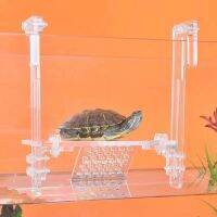 Plataforma De Tortuga De Acrílico Para Acuario,Plataforma De Escalada De Alto Nivel De Agua,Flotante,Tipo De Pared Para Isla