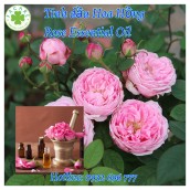 Tinh dầu Hoa Hồng rose essential oil - 10ml