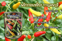 พริกกะเหรี่ยงกาญจนบุรี(ตราภูเขาทอง)  20 กรัม