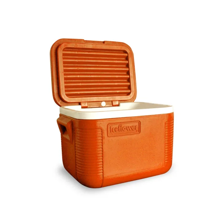 ICEFLOWER Saver 1 Caser Plastic Cooler Box 28 LitersuTw Lazada PH