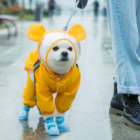 Cat Dog Raincoat Hooded Reflective Puppy Small Dog Rain Coat Waterproof Jacket for Dogs Soft Breathable Mesh Dog Clothes