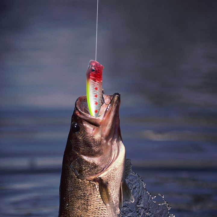 hot-6-5cm-11-8g-artificial-fishing-lures-topwater-hard-bait-carp-wobblers-crankbaits-tackle-hooks-pesca-swimbait