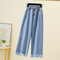 Large  Size Womens High Waist Ankle Jeans Straight Wide Leg Denim Pants