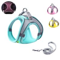 Dog Harness Clothes Vest Chest Cat Collars Rope Small Dogs Reflective Breathable Adjustable Outdoor Walking Pet Supplies