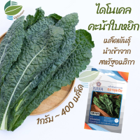 เมล็ดพันธุ์ ไดโนซอร์เคล เคล คะน้าใบหยิก คะน้าใบหงิก ( Dinosaur Kale )