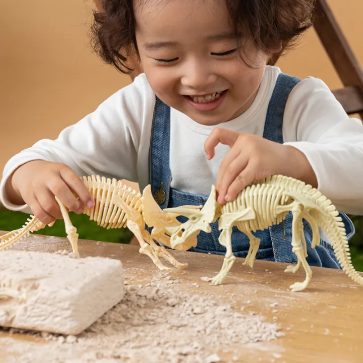 DIY Archaeological Excavation Dinosaur Fossil Excavation Toys