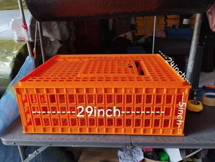 Live Chicken Crates, Chicken Crates, Transport Cage for chickens