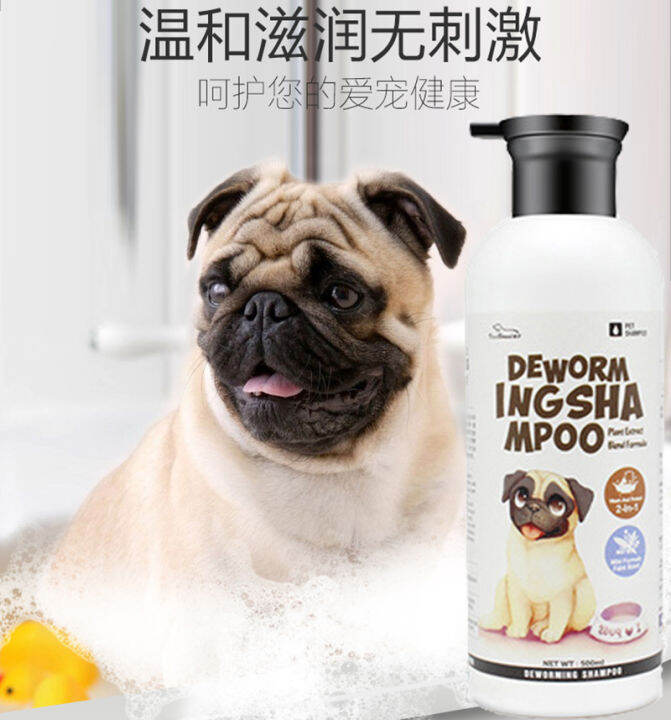 Best Shampoo To Kill Mites On Dogs at Bob Downey blog