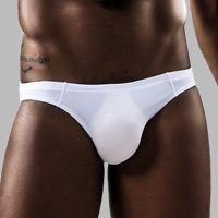 【CW】 Men Briefs Silk Breathable Thin Male Panties Cueca Tanga U Underpants Homme