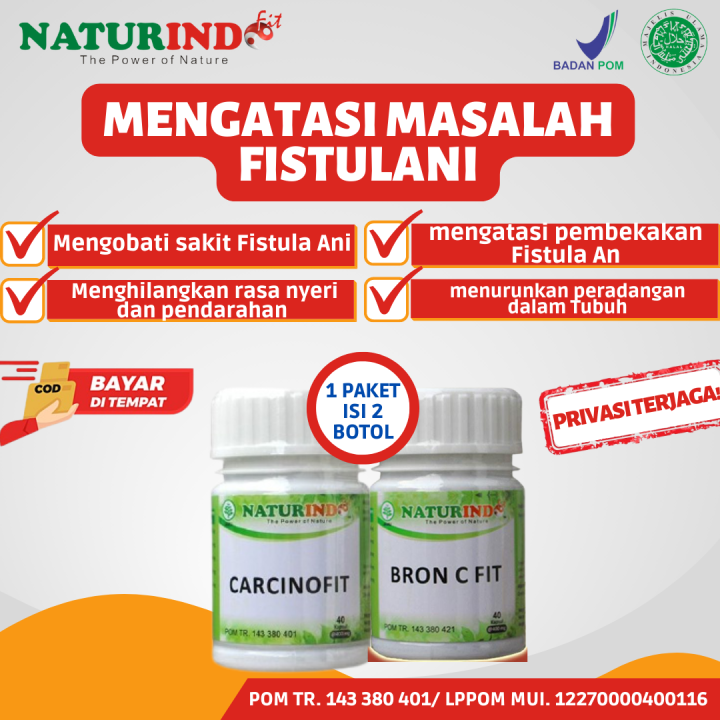 Obat Herbal Fistula Ani Abses Perianal Fisura Ani Penghilang Benjolan Anus Bisul Di Pantat 9294