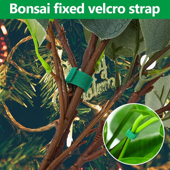 2-10m-plant-bandage-tie-10mm-width-climbing-plant-support-adjustable-garden-ties-reusable-fastener-tape-for-garden-accessories-adhesives-tape