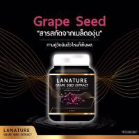 LANATURE GRAPE SEED EXTRACT ลาเนเจอร์ พลัส   สารสกัดจากเมล็ดองุ่น  ปริมาณ 30 แคปซูล