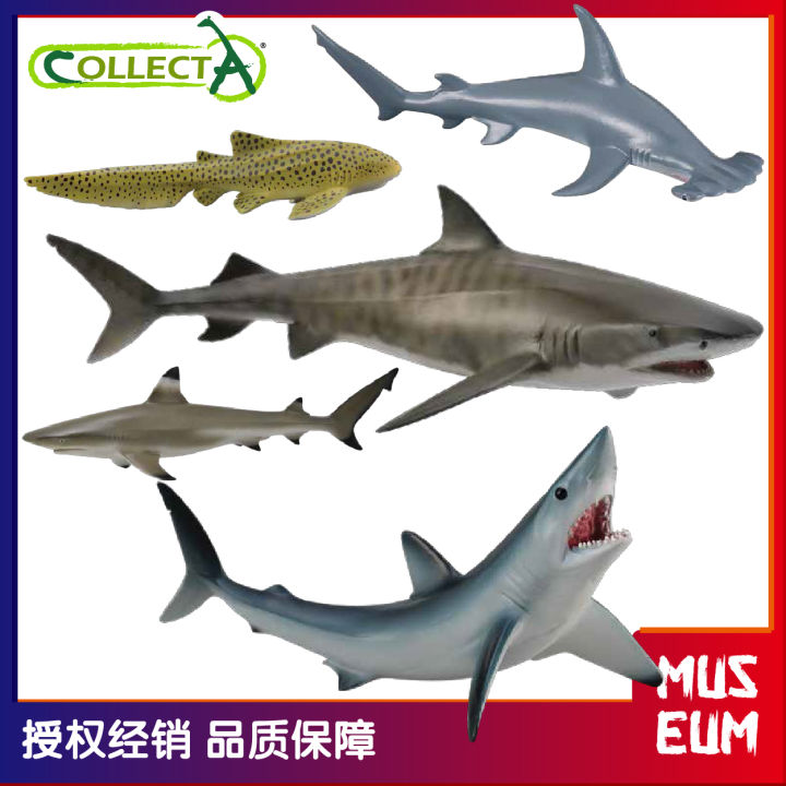 CollectA shark simulation model of marine life Children's plastic toys ...