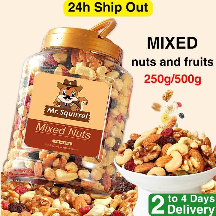 Mr Squirrel Mixed Nuts and Fruits Trail Mix Fruit and Nut Daily Snacks