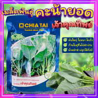 เมล็ดพันธุ์คะน้ายอด? เจ้าคุณทิพย์ เมล็ดพันธุ์เจียไต๋ ผักคะน้า เมล็ดพันธุ์ยอดคะน้า เมล็ดพันธุ์คะน้า ผักสวนครัว??