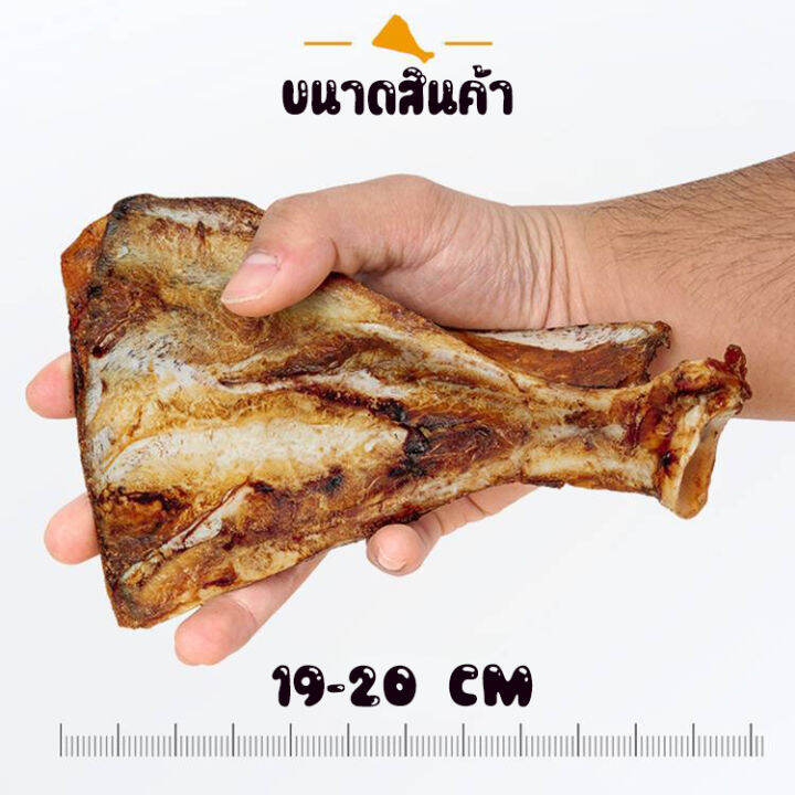 กระดูกใบพัดหมูอบแห้ง-ขนมขัดฟันสุนัข-แท่งใหญ่-สดใหม่จากธรรมชาติไร้สารปรุงเเต่ง-แพ็ค2ชิ้น