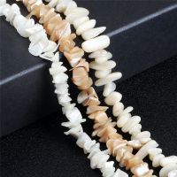 Horseshoe Snail Scraps Loose Bead DIY Handmade Jewelry Natural Freshwater Mother Of Pearl For Making Men/Women Bracelet Necklace