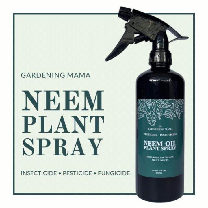 Ready To Use Neem OIl Pesticide/Fungicide 250ml by Gardeming Mama