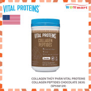 Collagen thủy phân Vital Proteins Collagen Peptides Chocolate 383g