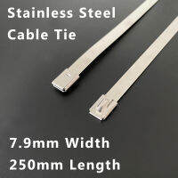 100pcs Self Locking Sort Out Fixed Industrial Wire Tool 7.9*250mm Bridge Clamp Marine 304# Stainless Steel Cable Tie