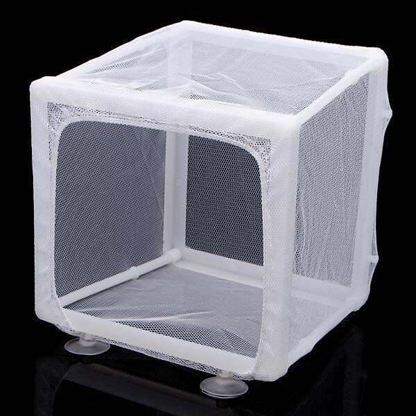 Net Breeder For Aquarium Fish Tank Lazada