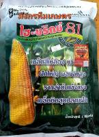 ข้าวโพดหวาน ?ไฮบริกซ์ 81?ไฮบริกซ์ 59?ข้าวโพด สวีท?ข้าวโพดเหลือง หวาน กรอบ เม็ดใส ฝักใหญ่ ต้นแข็งแรง