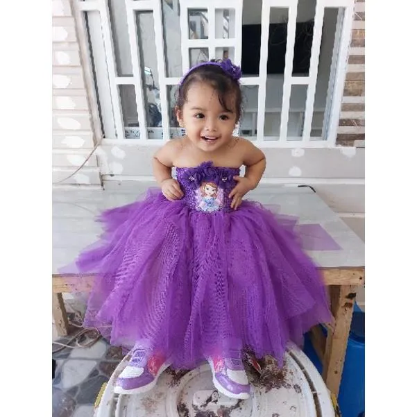 Sofia the First Dress Tutu Dress Sofia Dress Sofia the First 