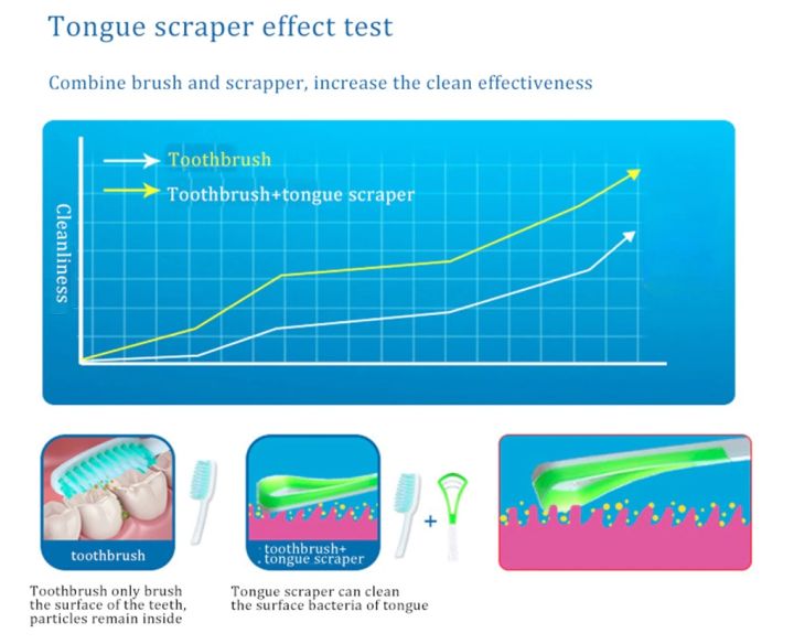 ที่ขูดลิ้น-2-ชิ้น-ที่กวาดลิ้น-ที่ขูดลิ้นเด็ก-ลิ้น-ที่ขูดลิ้น-แปรงขูดลิ้น-อุปกรณ์ทำความสะอาดลิ้น-ที่ทำความสะอาด-1แพ๊ค2ชิ้น