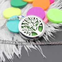 25mm 30mm Diffuser Perfume Locket Pendant Necklace 316L Twist 10