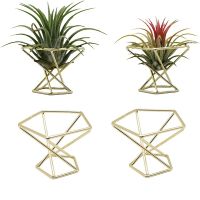 Geometric Air Plant Holder Airplants Rack Metal Plants Stand Planter Shelves Himmeli Decor Tillandsia Containers