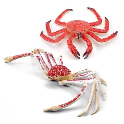 Cross-border simulation model of crab Marine animals childrens cognitive toy spider crab king crab furnishing articles