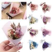 Real Happy Flower Small Natural Dried Flowers Bouquet Dry Flowers Press Mini Decorative Photography Photo Gift Backdrop Decor