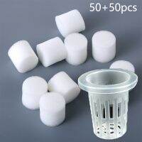 100/50/20xNetpot 35-50mm Vegetable Net Cups Pot Slotted Mesh Soilless Culture For Hydroponics/Aquaponics/Orchids Planter Plastic