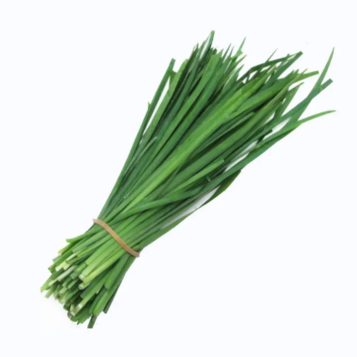 Chinese White Stem Herb Chives Kuchay / Kutsay Variety Vegetable Seeds ...