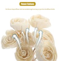9pcs Rose Aromatherapy Rattan DIY Fireless Aromatherapy Rattan Branch Dried Flower Reed Diffuser Home Decoration Ornament
