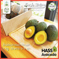 อโวคาโด พันธ์ แฮส HASS ? ราคาต่อ kg. อะโวคาโด จากไร่ โครงการหลวง เชียงใหม่ ผลไม้ avocado อาโวคาโด้ สุขภาพ