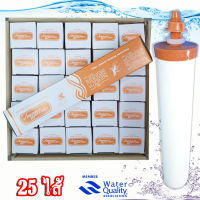 25 ไส้ยกลัง ไส้กรองน้ำดื่มเซรามิคฝาสีส้ม American Water Filter