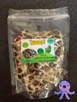 DRIED     Moringa seeds     Size 100 Seeds.