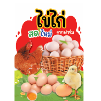 ป้ายไข่ไก่ เคลือบพลาสติก/ฟิวเจอร์บอร์ด/พลาสวูด