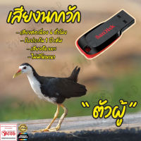 เสียงต่อ นกกวัก ตัวผู้ ยาว6ชั่วโมง ไม่มีโฆษณา แฟลชไดร์ฟ(Flash Drive) มีเก็บเงินปลายทาง ส่งด่วน Kerry Express