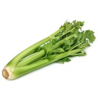 ผักสด - ??เซเลอรี่ Celery ขึ้นฉ่ายฝรั่ง ขนาด 8ขีด- 1 กิโล/ต้น