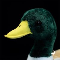 2023ใหม่ Mallard Duck High Fidelity อนิเมะน่ารัก Plushie เป็ดป่าของเล่นตุ๊กตาสัตว์เหมือนจริงจำลองตุ๊กตายัดไส้ Kawai ของขวัญของเล่นสำหรับ