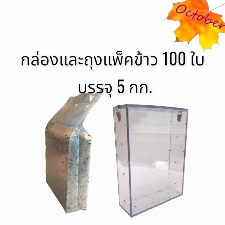 กล่องแพ็คข้าว-5-กิโลกรัม-ถุงบรรจุข้าว-5-กิโลกรัม-100ใบ